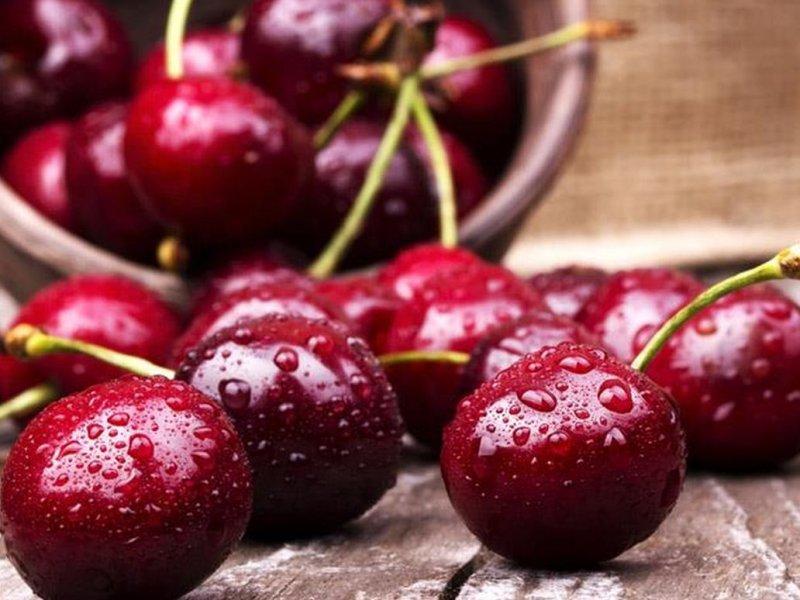 Вишня купить саженцы из питомника в Евпатории